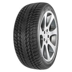 Fortuna Gowin uhp2 245/45R19 102 V cena un informācija | Ziemas riepas | 220.lv