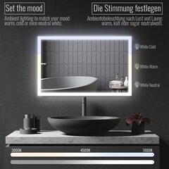 Vannas istabas spogulis,LED, skārienjutīgs, 100x60cm цена и информация | Зеркала в ванную | 220.lv