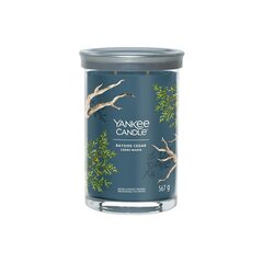 Yankee Candle Aroma svece Signature tumbler large Bayside Cedar 567 g cena un informācija | Sveces un svečturi | 220.lv