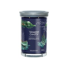 Yankee Candle Aromatinė žvakė Signature tumbler large Lakefront Lodge 567 g цена и информация | Подсвечники, свечи | 220.lv