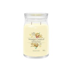 Yankee Candle Aromatinė žvakė Signatūrinė stiklinė didelė "Banoffee Waffle" 567 g цена и информация | Подсвечники, свечи | 220.lv