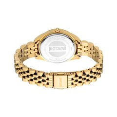 Just Cavalli Time WATCHES Mod. JC1L210M0475 цена и информация | Женские часы | 220.lv