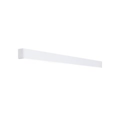 Потолочный светильник Traversi RX Ceiling 086 White 3000K  PRD-5470-086-WH-830-SF цена и информация | Потолочные светильники | 220.lv