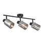 Italux griestu lampa Sardo SPL-5581-3-BK-SG цена и информация | Griestu lampas | 220.lv