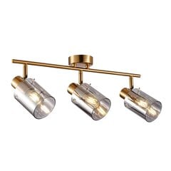 Italux griestu lampa Sardo SPL-5581-3-BRO-SG cena un informācija | Griestu lampas | 220.lv