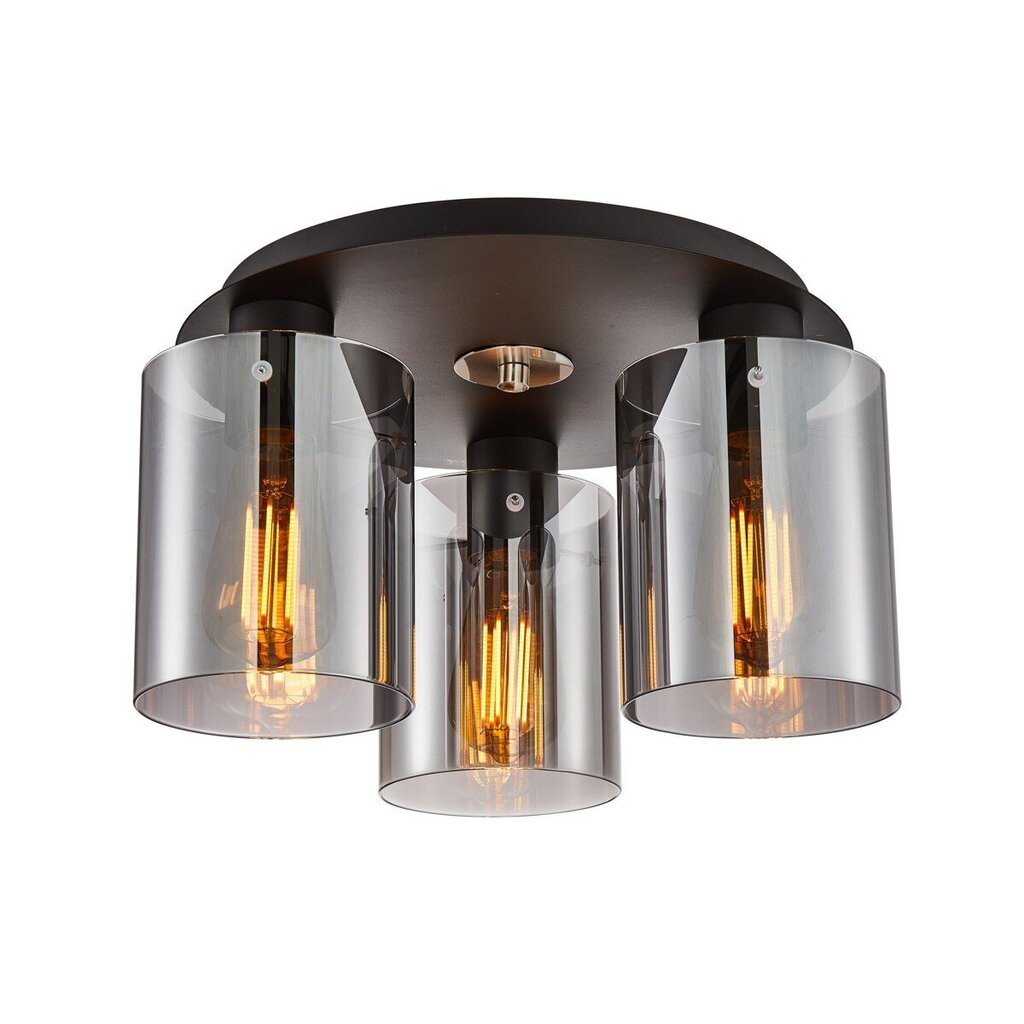 Italux griestu lampa Sardo SPL-5581-3SC-BK-SG cena un informācija | Griestu lampas | 220.lv