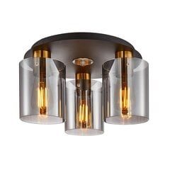 Italux griestu lampa Sardo SPL-5581-3SC-BRO-SG цена и информация | Потолочные светильники | 220.lv