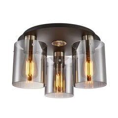 Italux griestu lampa Sardo SPL-5581-3SC-SC-SG цена и информация | Потолочные светильники | 220.lv