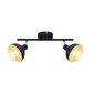 Italux griestu lampa Savio SPL-27357-2-BK-GD cena un informācija | Griestu lampas | 220.lv