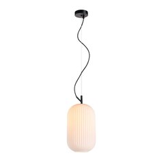 Italux piekaramā lampa Rues PND-64536C-M-BL-OPA цена и информация | Люстры | 220.lv