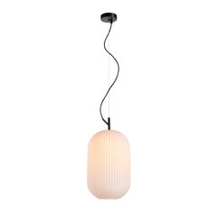 Italux piekaramā lampa Rues PND-64536D-L-BL-OPA цена и информация | Люстры | 220.lv