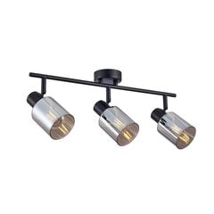 Italux griestu lampa Santia SPL-65342-3-BK-SG cena un informācija | Griestu lampas | 220.lv