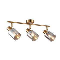 Italux griestu lampa Santia SPL-65342-3-BRO-SG цена и информация | Потолочные светильники | 220.lv