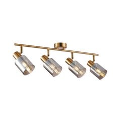 Italux griestu lampa Santia SPL-65342-4-BRO-SG cena un informācija | Griestu lampas | 220.lv