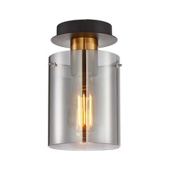 Italux griestu lampa Sardo SPL-5581-1SC-BRO-SG цена и информация | Потолочные светильники | 220.lv