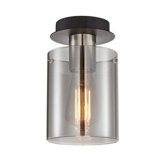 Italux griestu lampa Sardo SPL-5581-1SC-SC-SG цена и информация | Потолочные светильники | 220.lv