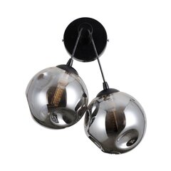 Italux sienas lampa Perlos WL-54456-2A-BK-SMG цена и информация | Настенные светильники | 220.lv