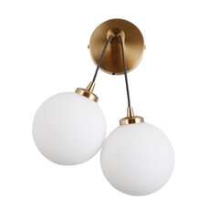 Italux sienas lampa Perlos WL-54456-2-HB cena un informācija | Sienas lampas | 220.lv