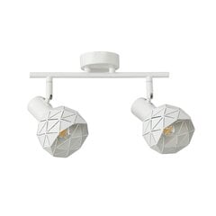 Italux griestu lampa Harley SPL-3480-2-W cena un informācija | Griestu lampas | 220.lv