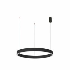 Italux piekaramā lampa Brasco Down PND-56215-060RPP-BK-3KS4K-TRDIMM цена и информация | Люстры | 220.lv