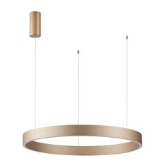 Italux piekaramā lampa Brasco Down PND-56215-080RPP-GD-3KS4K-TRDIMM cena un informācija | Piekaramās lampas | 220.lv