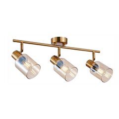 Griestu lampa Santia SPL-65342-3-BRO-AMB цена и информация | Потолочные светильники | 220.lv