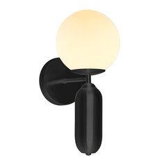 Sienas lampa Aldeva WL-02340-1-BK цена и информация | Настенные светильники | 220.lv