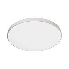 Italux griestu lampa Ateia PLF-53472-3K-WH цена и информация | Потолочные светильники | 220.lv