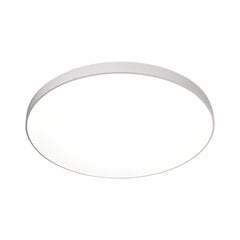 Italux griestu lampa Ateia PLF-53472-3K-WH цена и информация | Потолочные светильники | 220.lv