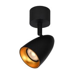 Italux griestu lampa Tino SPL-36748-1R-BK-GD cena un informācija | Griestu lampas | 220.lv