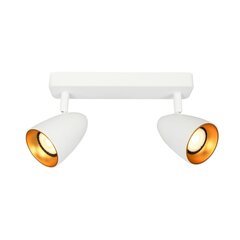 Italux griestu lampa Tino SPL-36748-2-WH-GD cena un informācija | Griestu lampas | 220.lv