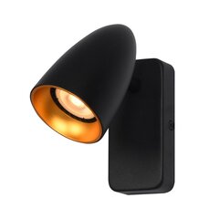 Настенный светильник Tino  WL-36748-1R-BK-GD цена и информация | Настенные светильники | 220.lv
