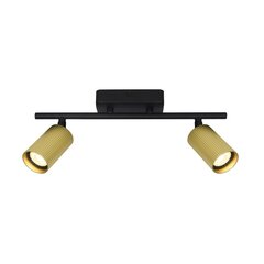 Italux griestu lampa Tris SPL-46829-2-BK-GD cena un informācija | Griestu lampas | 220.lv