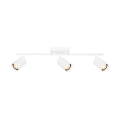 Italux griestu lampa Tris SPL-46829-3-WH cena un informācija | Griestu lampas | 220.lv