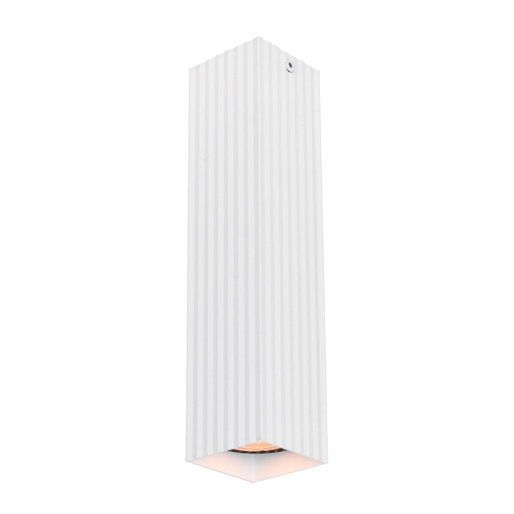 Italux griestu lampa Tecno CLN-37492-L-WH cena un informācija | Griestu lampas | 220.lv