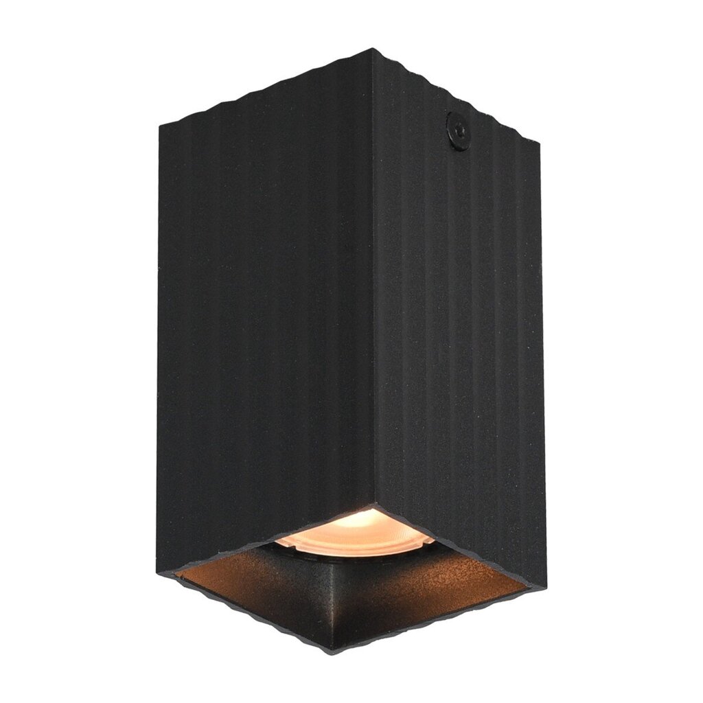 Italux griestu lampa Tecno CLN-37492-S-BK cena un informācija | Griestu lampas | 220.lv