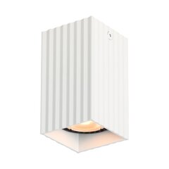 Italux griestu lampa Tecno CLN-37492-S-WH cena un informācija | Griestu lampas | 220.lv