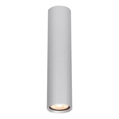 Italux griestu lampa Rilok CLN-83920-L-ALU cena un informācija | Griestu lampas | 220.lv