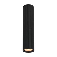 Italux griestu lampa Rilok CLN-83920-L-BK cena un informācija | Griestu lampas | 220.lv