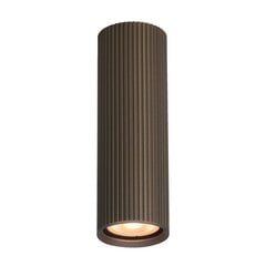 Italux griestu lampa Rilok CLN-83920-M-BRO cena un informācija | Griestu lampas | 220.lv