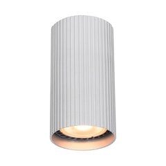 Italux griestu lampa Rilok CLN-83920-S-ALU цена и информация | Потолочные светильники | 220.lv