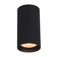 Italux griestu lampa Rilok CLN-83920-S-BK cena un informācija | Griestu lampas | 220.lv