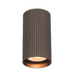 Italux griestu lampa Rilok CLN-83920-S-BRO cena un informācija | Griestu lampas | 220.lv