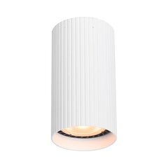 Italux griestu lampa Rilok CLN-83920-S-WH цена и информация | Потолочные светильники | 220.lv