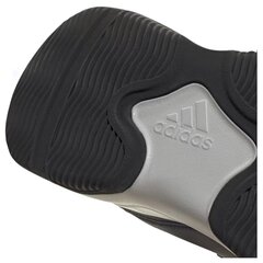 Buty Sportowe Męskie Adidas Hotaki FY3512 61535-54 cena un informācija | Sporta apavi vīriešiem | 220.lv