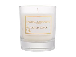 Coton Divin Scented Candle cena un informācija | Sveces un svečturi | 220.lv