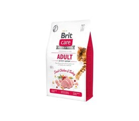 Brit Care Cat GF Adult Activity Support сухой корм для активных кошек, 2 кг. цена и информация | Сухой корм для кошек | 220.lv