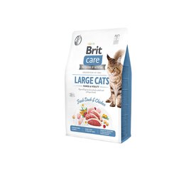 Brit Care Cat GF Large Power&Vitality сухой корм для кошек крупных пород, 0,4 кг. цена и информация | Сухой корм для кошек | 220.lv