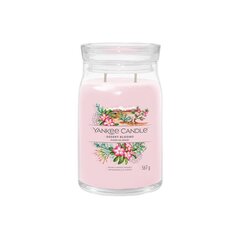 Yankee Candle Aromātiskā svece Stikls Signature large Desert Blooms 567 g cena un informācija | Sveces un svečturi | 220.lv