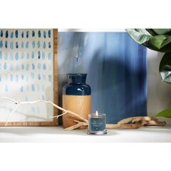 Yankee Candle Aromātiskā svece Signature tumbler small Bayside Cedar 122 g cena un informācija | Sveces un svečturi | 220.lv